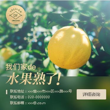 石阡县果园果林小程序开发